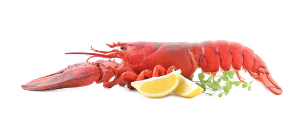 Tasty boiled lobster, lemon and microgreens isolated on white