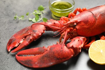 Delicious boiled lobster with oil, microgreens and lemon piece on grey table, closeup