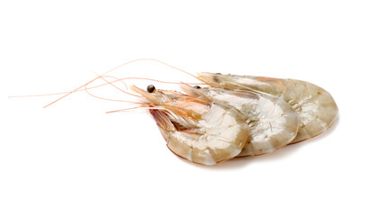 Fresh raw shrimps isolated on white. Sea food