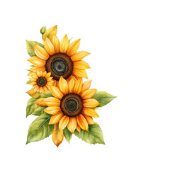 Fototapeta premium Vibrant Watercolor Sunflowers Bouquet on Transparent Background