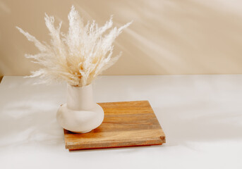 Elegant vase with pampas grass on wooden stand with copy space for product presentation.Vase with sunlight shadows, relaxing calming still life composition, interior home decoration