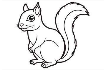 Squirrel vector on white background