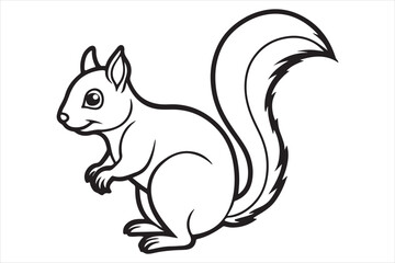 Squirrel vector on white background