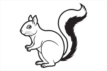 Squirrel vector on white background