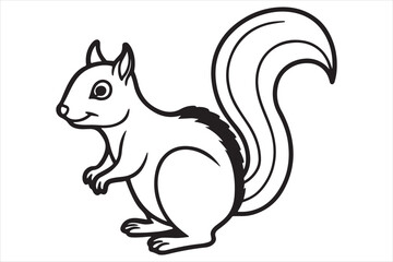 Squirrel vector on white background