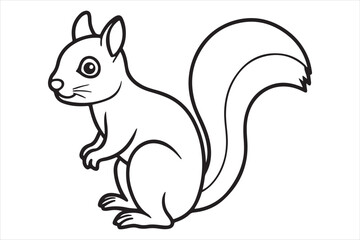 Squirrel vector on white background