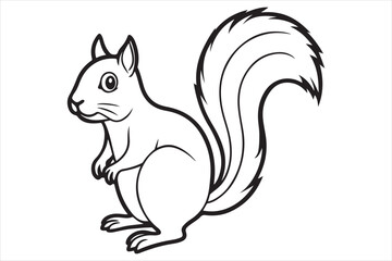 Squirrel vector on white background