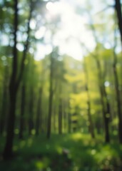 Fototapeta premium Blur spring forest panorama bokeh green bokeh green abstract background light bright blur pattern