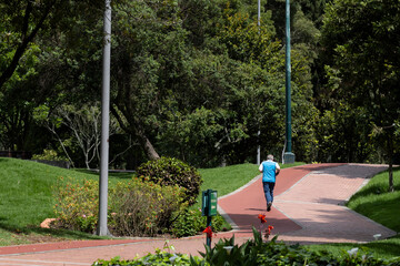A person running on a red brick paved path through a lush green park surrounded by nature and tall trees, showcasing an active lifestyle and a serene outdoor environment.