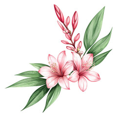 Fototapeta premium Beautiful Pink Flowers with Green Leaves on a Transparent Background