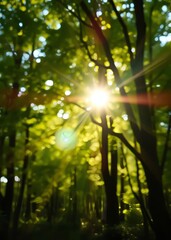 Obraz premium Organic wooden vintage background isolated at blurry summer or spring fresh sunny green bokeh of defocused fresh foliage of trees bright magic sunlight and sun flares bursting softly through branches 