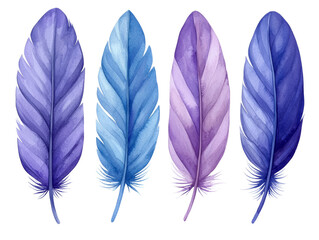 Elegant Purple and Blue Watercolor Feathers Collection for Artistic Designs