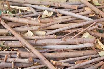 Pile of Sticks