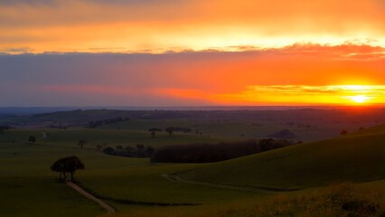 Obraz premium Golden sunlight illuminating rolling green hills, spreading warm hues across landscape during twilight, painting expansive natural scenery with radiant evening luminescence