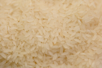 Closeup view of uncooked white rice grains scattered on a surface