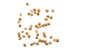 Floating light colored seeds scattered on plain background