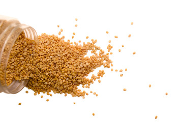 Scattered seeds spilling from a container on a plain surface