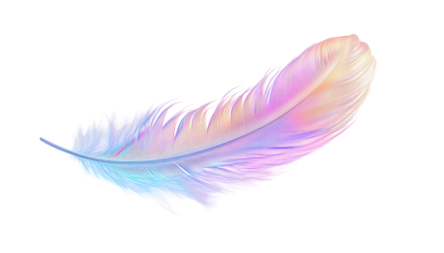 Single iridescent feather with translucent vibrant coloring lies gently