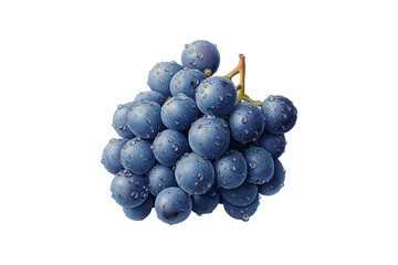 Fototapeta premium The image shows a cluster of blue grapes covered in water droplets, highlighting their freshness and natural appeal.