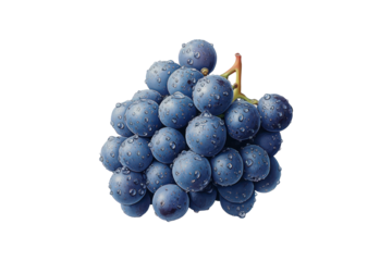 The image shows a cluster of blue grapes covered in water droplets, highlighting their freshness and natural appeal.