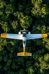 Top-Down View of a Pilot's Journey in Hyper-Realistic Detail