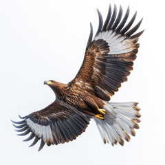 wallpaper of animals