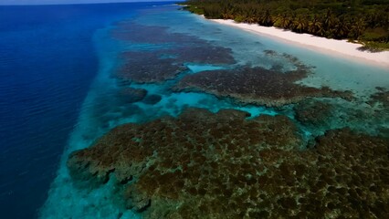 Turquoise waters caressing powdery white shoreline, revealing colorful coral reef ecosystem with marine life flourishing near coastal shallow waters of tropical destination