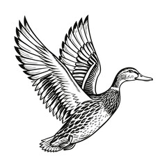 Obraz premium Duck vector design, Duck clipart, Hand drawn duck illustration design isolated on a white background
