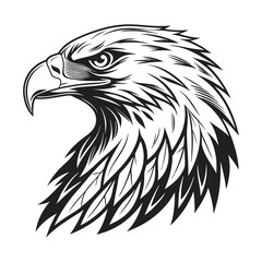 Fototapeta premium Eagle vector design, Eagle clipart, Hand drawn eagle illustration design isolated on a white background