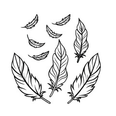Obraz premium Elegant Black and White Feather Design color page for kids