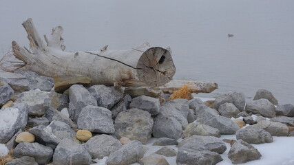 frozen river in winter, tree