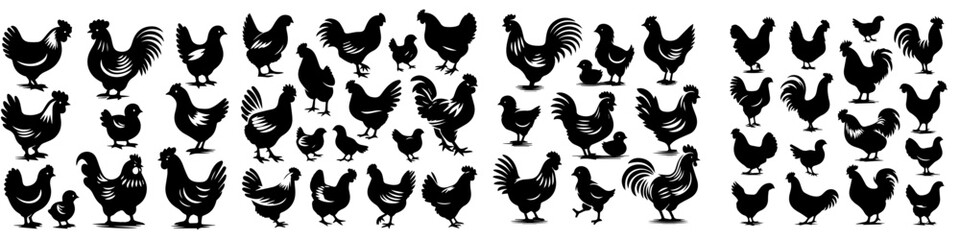 set vector silhouette chicken