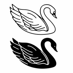 swans vector illustration