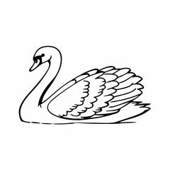 vector illustration of a swan