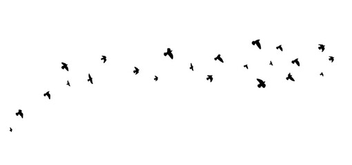Flying birds silhouette flock. hand drawing. Not AI. Vector illustration.