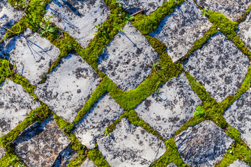 A textured cobblestone road surface, with tufts of grass growing between the stones, is illuminated...