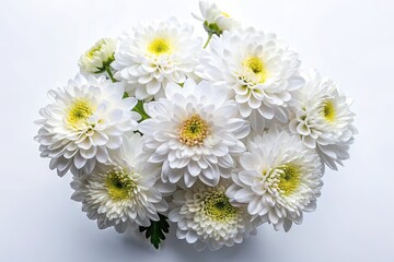 Fototapeta premium White Chrysanthemum Bouquet, Flat Lay, Background for Text