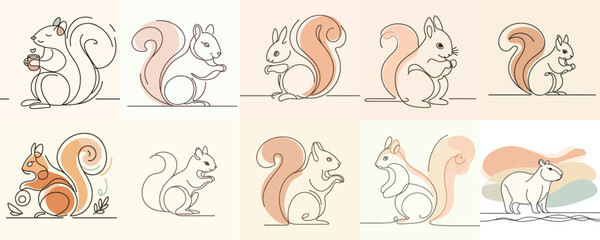 set vector squirrel