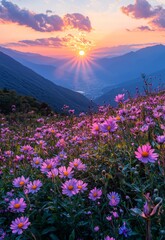 Obraz premium Vibrant Blooms Under a Stunning Sunset Over a Vast Mountain Meadow