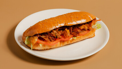 Doner kebab isolated 