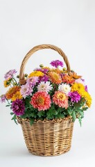 Colorful Chrysanthemum Flower Basket for Floral Decoration and Gift Ideas