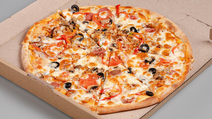 Delicious pizza isolated on wooden board