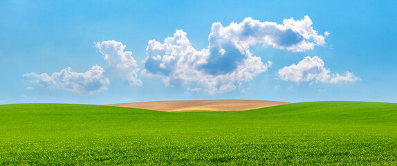 spring landscape with green field and blue sky with white clouds in sunny weather