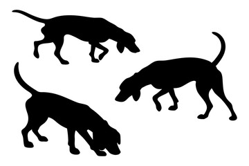 Dog Scent Tracking SVG Clipart Set – Bloodhound, GSP, and Dachshund Sniffing Silhouettes – Vector Art for Logos, Prints & Digital Designs on white background.