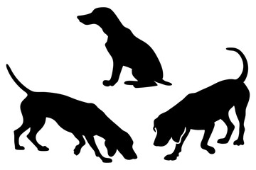 Dog Scent Tracking SVG Clipart Set – Bloodhound, GSP, and Dachshund Sniffing Silhouettes – Vector Art for Logos, Prints & Digital Designs on white background.