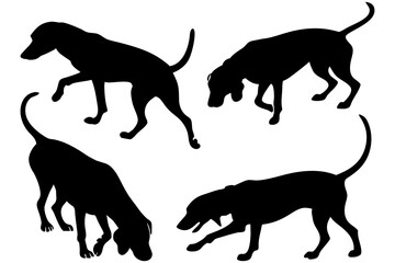 Dog Scent Tracking SVG Clipart Set – Bloodhound, GSP, and Dachshund Sniffing Silhouettes – Vector Art for Logos, Prints & Digital Designs on white background.