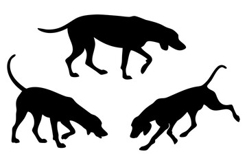 Dog Scent Tracking SVG Clipart Set – Bloodhound, GSP, and Dachshund Sniffing Silhouettes – Vector Art for Logos, Prints & Digital Designs on white background.