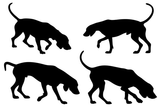 Dog Scent Tracking SVG Clipart Set &ndash; Bloodhound, GSP, and Dachshund Sniffing Silhouettes &ndash; Vector Art for Logos, Prints & Digital Designs on white background.