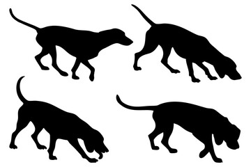 Dog Scent Tracking SVG Clipart Set – Bloodhound, GSP, and Dachshund Sniffing Silhouettes – Vector Art for Logos, Prints & Digital Designs on white background.