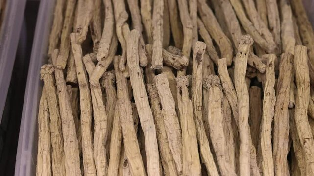 Dried Codonopsis Radix roots, also known as dudnik kolokolchatyi or dan shen in traditional Chinese medicine, lie on a wooden shelf in a Chinese pharmacy.